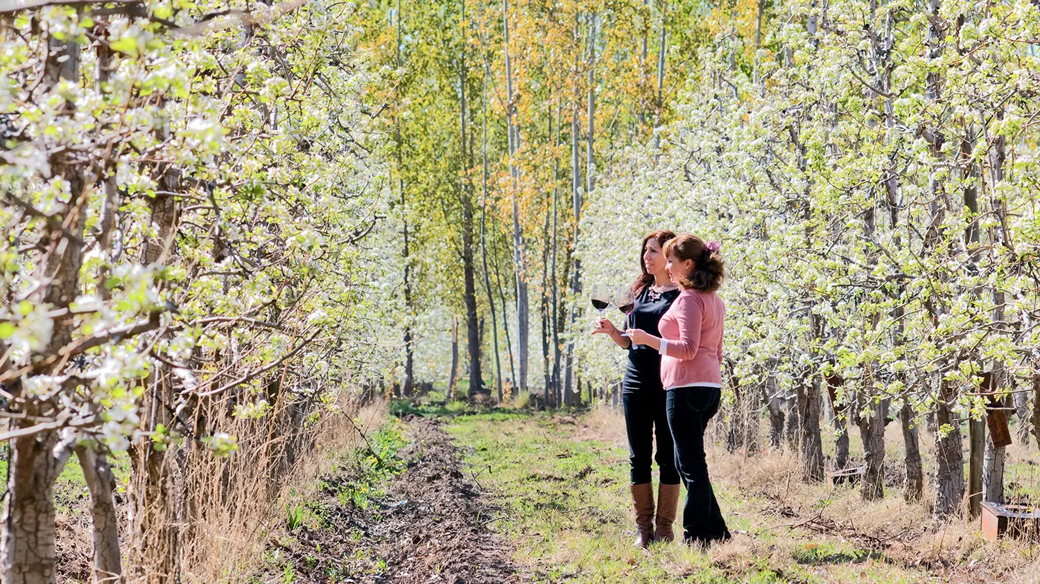 Río Negro te invita a sentir lo épico de la primavera en cada destino