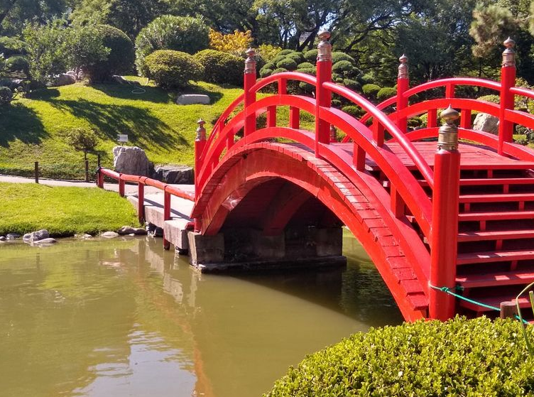 Actividades Culturales del mes de Octubre 2022 en el Jardín Japonés.