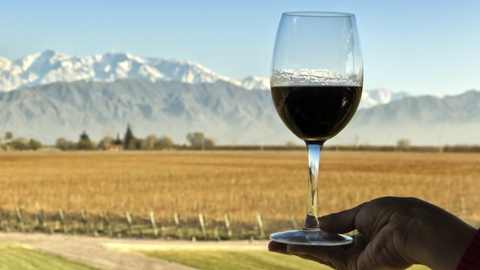 EL TURISMO DEL VINO EN ARGENTINA