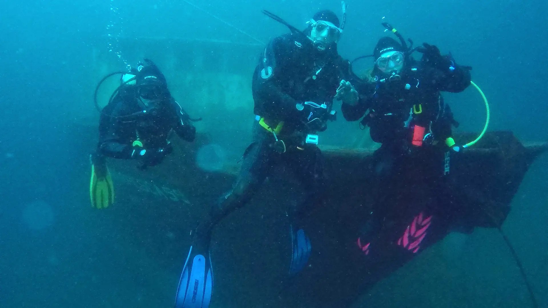 Bucear en el Parque Submarino de Las Grutas ¡tiene sentido!