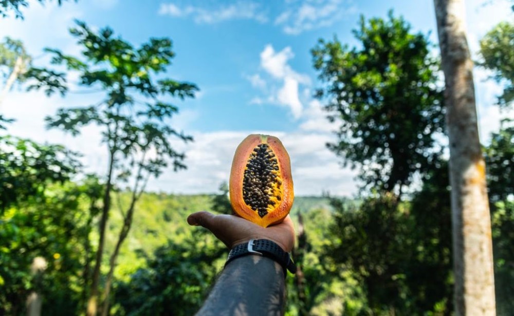 Iguazú apuesta por la innovación de prestadores y emprendedores locales