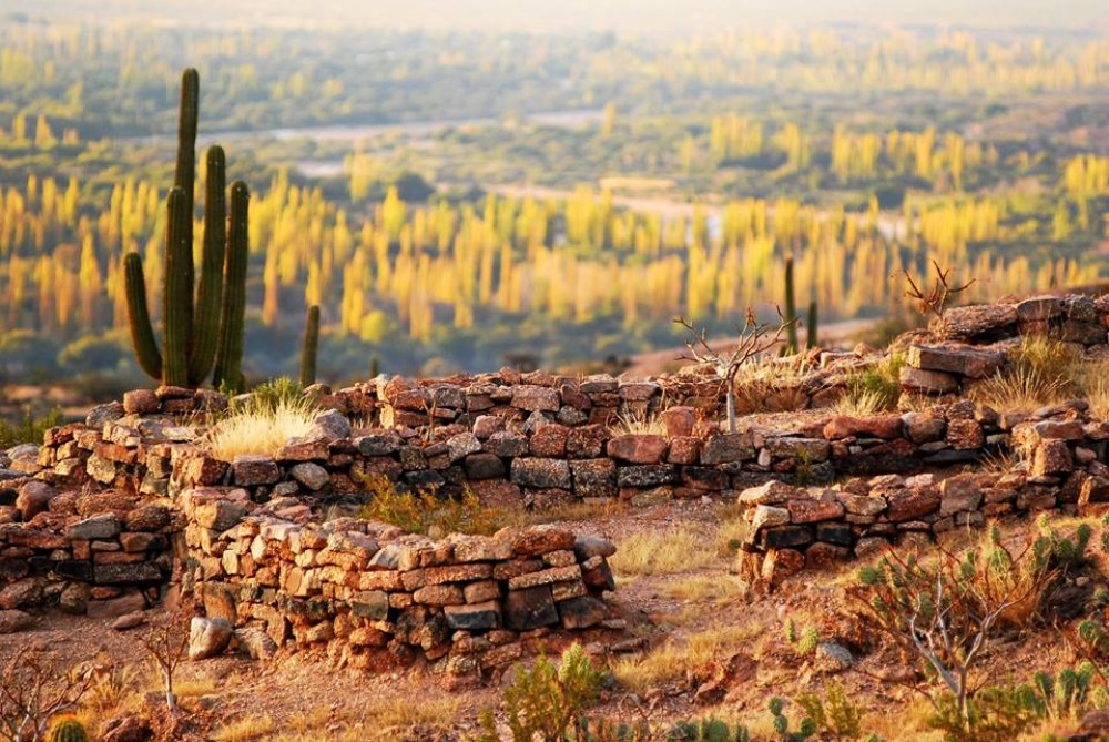 EN LA RIOJA, SAN BLAS DE LOS SAUCES