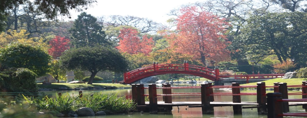 Día Musical en el Jardín Japonés