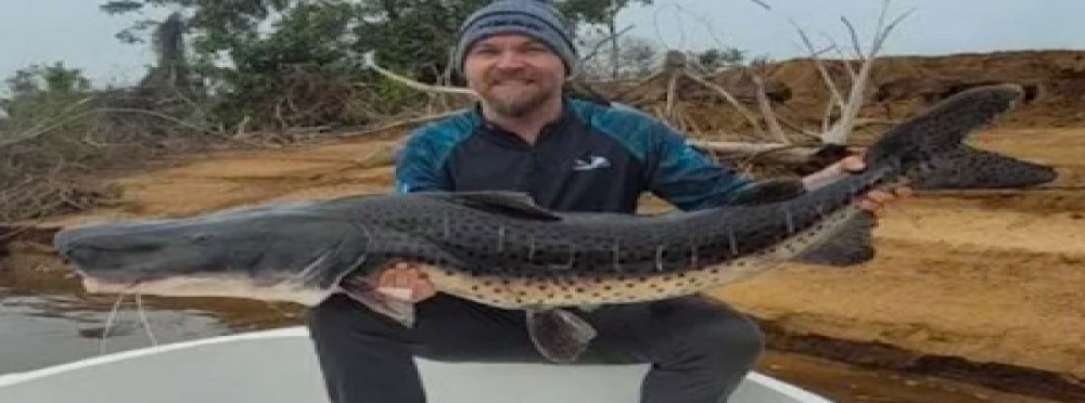 Pesca en Corrientes: atraparon la especie más grande del Río Paraná, un Surubí de 40 kilos