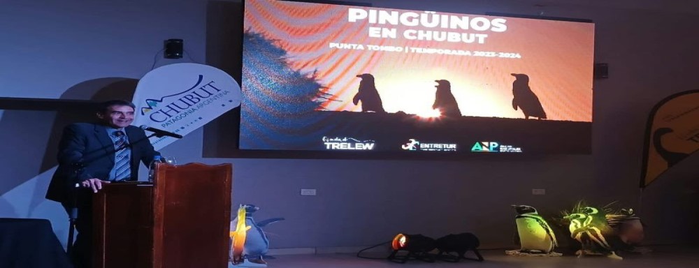 Se lanzó la Temporada de Pingüinos