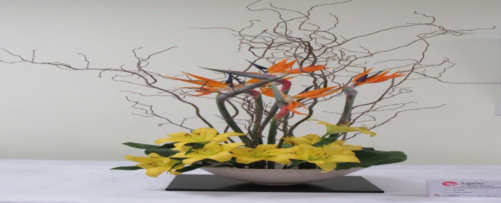 Exposición de Ikebana Arte del Arreglo floral japonés