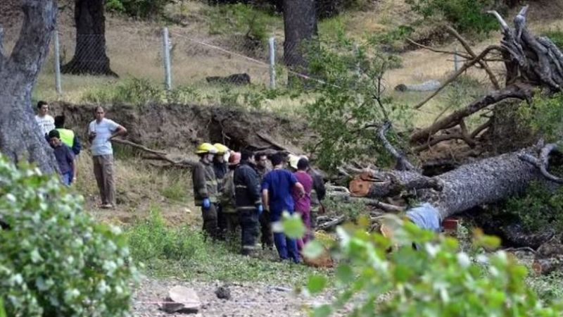 Guardaparques acusados en la causa Lolen.