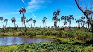 Safaris estacionales de Vida Silvestre: Un Año de Ciencia Ciudadana para la Biodiversidad Argentina