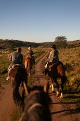 Córdoba con un finde XL con gran movimiento de turistas