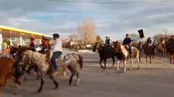 MERLO: 31° FIESTA NACIONAL DE LA DULZURA