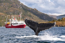En la Embajada de Chile  Sernatur Magallanes capacita a operadores turísticos en Buenos Aires