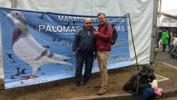 LAS PALOMAS MENSAJERAS TAMBIEN LLEGARON A LA EXPO RURAL DE PALERMO.