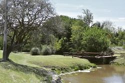 El Camping Municipal de Federal se convertirá en “Área Natural Protegida”.