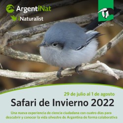 Fundación Vida Silvestre Argentina invita a participar del Safari de Invierno, el nuevo evento de ciencia ciudadana.