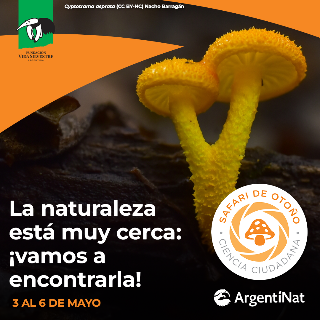 Safari de Otoño: una oportunidad para conocer la naturaleza