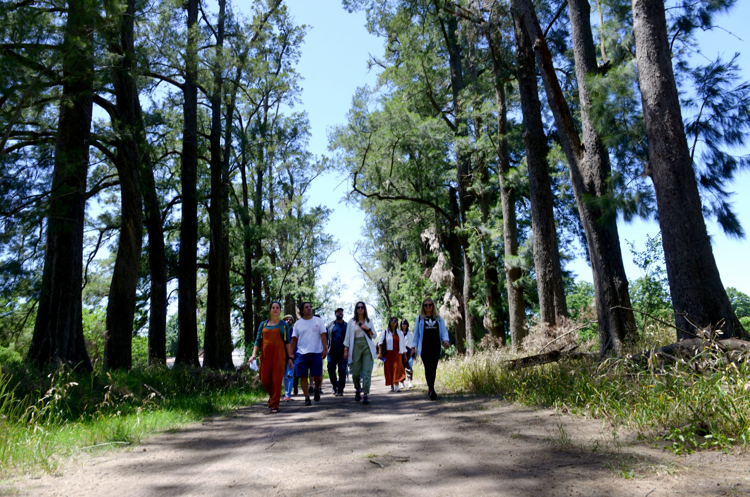 Día Mundial del árbol  Saladillo cultiva en forma permanente más de 150 especies