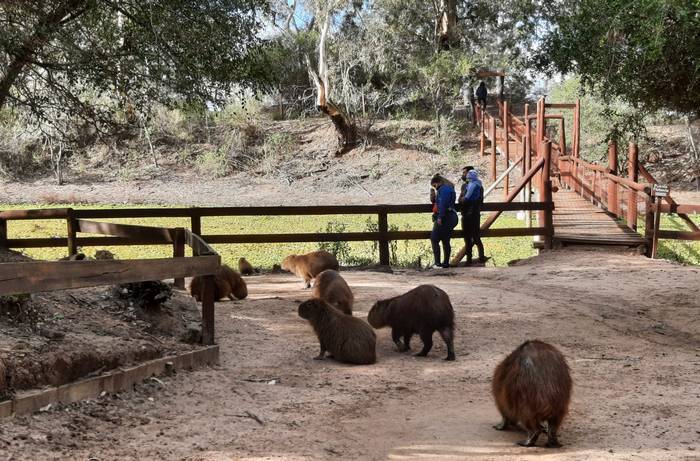 La reserva La Chinita de Villaguay se suma al Sistema Provincial de Áreas Naturales Protegidas