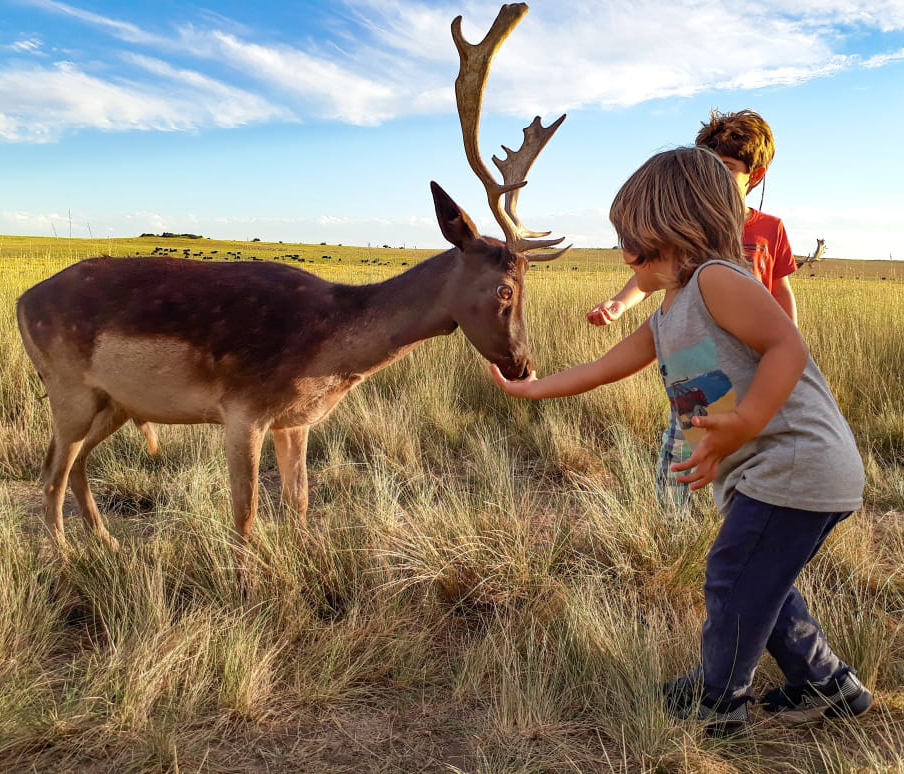 AVISTAJE DE ANIMALES Y CAMINATAS BAJO LAS ESTRELLAS: EL HECHIZO DE LAS SIERRAS EN EL SUDOESTE BONAERENSE