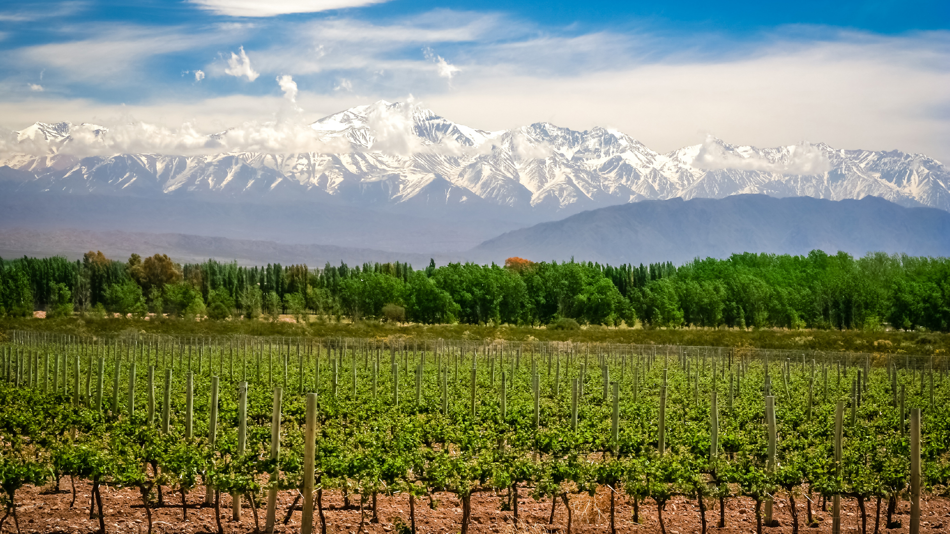 Próximos encuentros de turismo enogastronómico en Mendoza