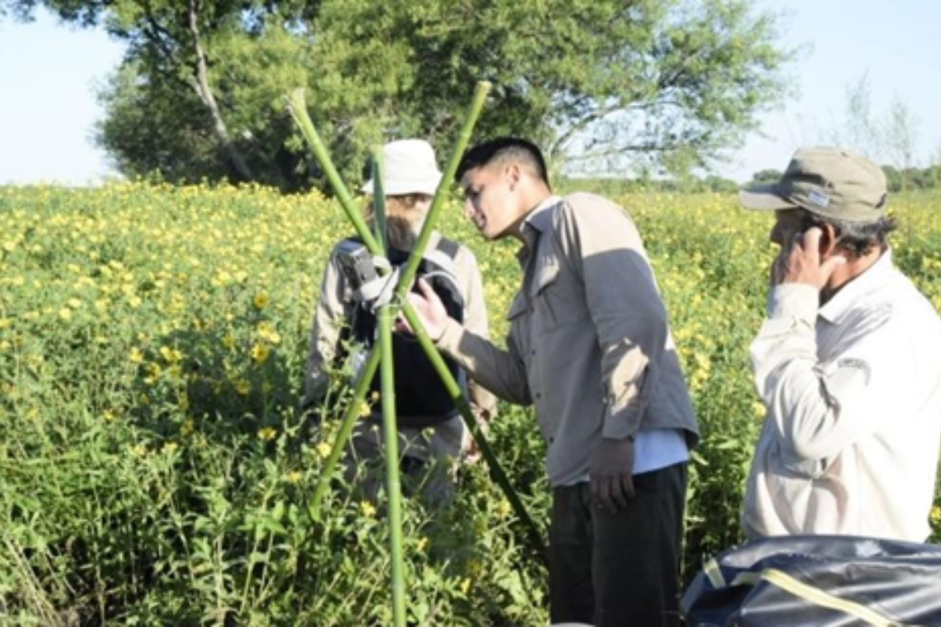 Realizan un monitoreo de nidificación del yacaré overo en el Parque Nacional Pre Delta